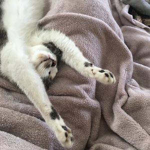 Meet your Posher, Monique